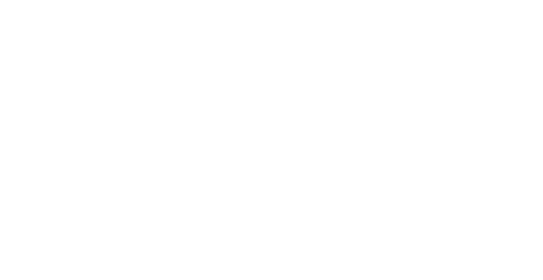 LOGO_ANICA ACADEMY